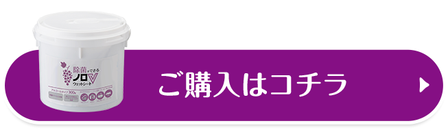 ご購入はコチラ