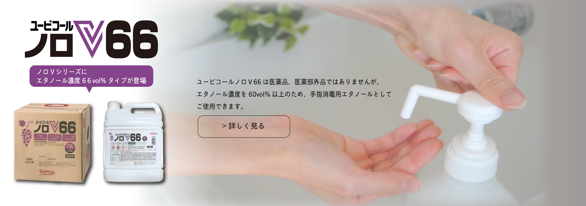 ユービコールノロV66